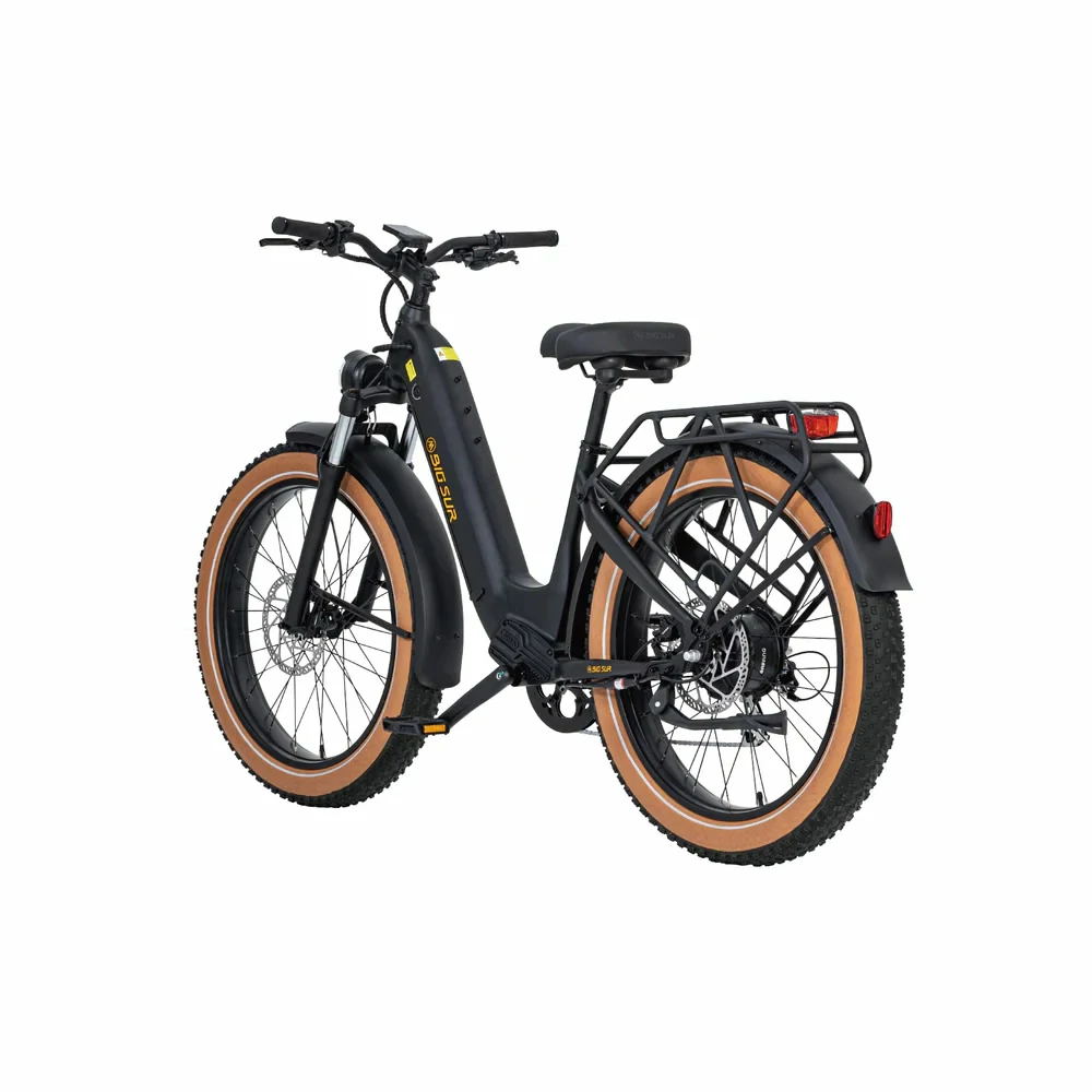 Dutch regulations on electric bicycles(pic1)