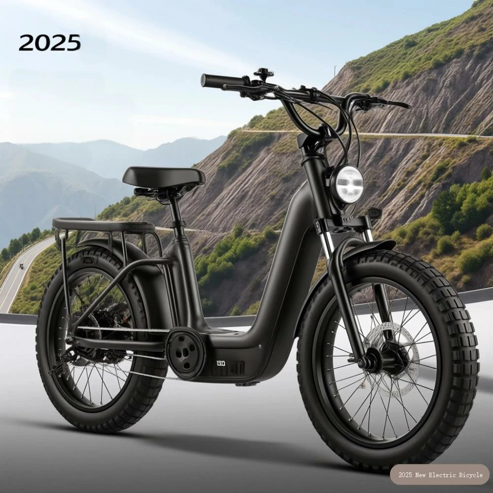 Denmarks relevant laws and regulations on electric bicycles(pic2)